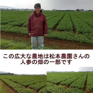 松本農園さんの特別栽培にんじん 訳あり 1箱約...の詳細画像3