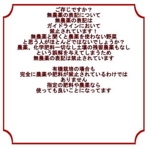 松本農園さんの特別栽培にんじん 訳あり 1箱約...の詳細画像4