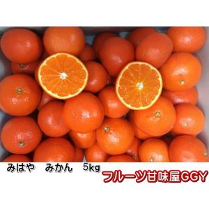 みはや　みかん　1箱5ｋｇ　熊本産　80サイズ みかん ミカン 蜜柑