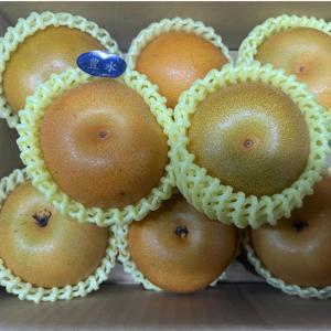 梨　訳あり　約1.8ｋｇ（約2〜10玉）品種お任せ（豊水・秋月・秋麗・新高・愛宕など）熊本産　梨　ナシ　なし