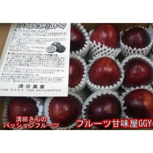 パッションフルーツ　約1ｋｇ（約9〜15玉）熊本産　清田さんのパッションフルーツ　60サイズ