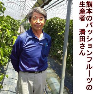 パッションフルーツ 約1kg(約9〜15玉)熊...の詳細画像1