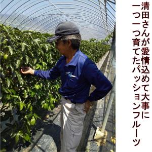 パッションフルーツ 約1kg(約9〜15玉)熊...の詳細画像2