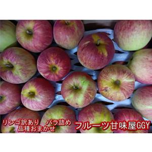 リンゴ　品種おまかせ　バラ詰め　訳あり　山形・青森・長野産　1箱　約10ｋｇ　バラ詰め　りんご　林檎