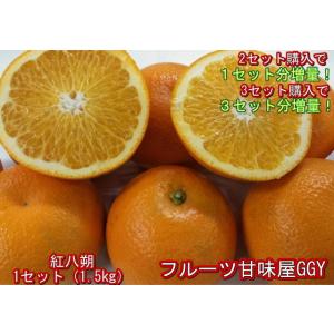 【セット】紅八朔　訳あり　１セット1.5kg　熊本産　２セット購入で１セットおまけ！３セット購入で3セットおまけ！　60サイズ　みかん　はっさく　ハッサク