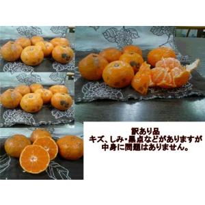 【セット】みかん 訳あり 1セット1.5kg ...の詳細画像1