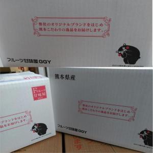 【セット】みかん 訳あり 1セット1.5kg ...の詳細画像2