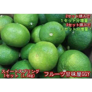 【セット】スイートスプリング　訳あり　１セット1.5kg　熊本産　２セット購入で１セットおまけ！３セット購入で3セットおまけ！　60サイズ みかん ミカン 蜜柑