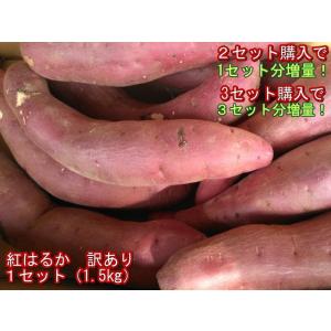 【セット】紅はるか　蔵出し　訳あり １セット（1.5kg）２セット購入で１セットおまけ！３セット購入で3セットおまけ！さつまいも　蜜芋　熊本産　60サイズ