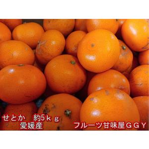 せとか　訳あり　愛媛産　約5ｋｇ　ＪＡ周桑　サイズ4Ｌ〜2Ｓ　柑橘の大トロ　セトカ　80サイズ