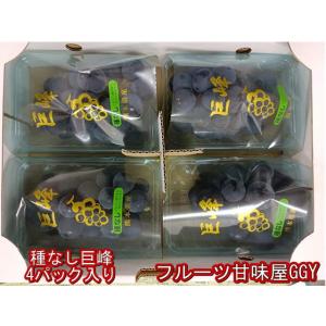 パール柑 訳あり 箱込9キロ（8kg＋保証分500g）文旦 土佐文旦の