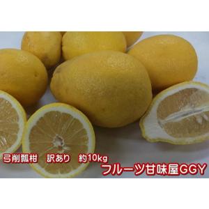 弓削瓢柑（サワーポメロ）訳あり　熊本産　1箱　箱込10キロ（9ｋｇ+保証分500ｇ）　ポメロ　ぽめろ...