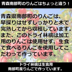 お中元 お歳暮 りんご ドライフルーツ 半生 ...の詳細画像2