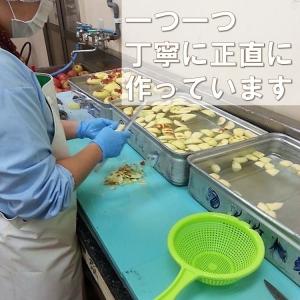 お中元 お歳暮 りんご ドライフルーツ 半生 ...の詳細画像3