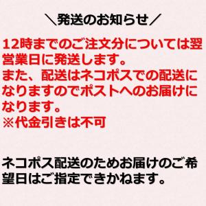 お中元 お歳暮 りんご ドライフルーツ 半生 ...の詳細画像4