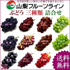 ぶどう 詰め合わせ おまかせ3種類セット 2kg 山梨県産 特産品 産地直送 送料無料一部地域を除く