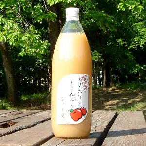 果汁100% リンゴ りんごジュース 1L×3本...の商品画像