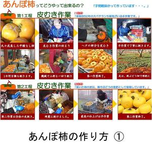 干し柿 甲州百目柿 高級あんぽ柿 山梨県産 9...の詳細画像3