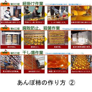 干し柿 甲州百目柿 高級あんぽ柿 山梨県産 9...の詳細画像4