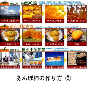 干し柿 甲州百目柿 高級あんぽ柿 山梨県産 9...の詳細画像5