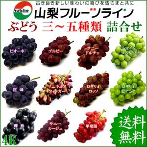 ぶどう 詰め合わせ おまかせ3種類セット 4kg 山梨県産 特産品 産地直送 送料無料一部地域を除く