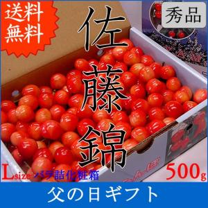 父の日 プレゼント ギフト さくらんぼ サクランボ 佐藤錦 Lサイズ 500g バラ詰  送料無料 一部地域を除く