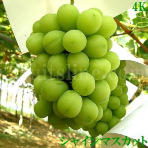 シャインマスカット 4kg 贈答用 山梨県産 ...の詳細画像1