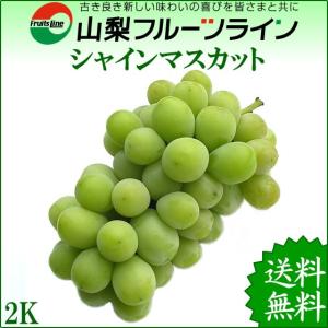 サンシャインレッドとシャインマスカット 山梨県産 ぶどう詰め合わせ