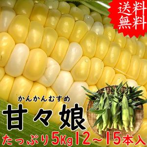 父の日 お中元 ギフト 山梨県産 とうもろこし ...の商品画像