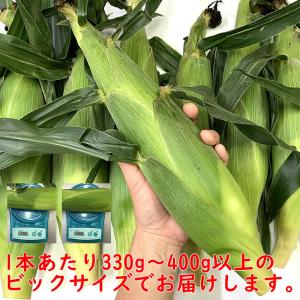 父の日 お中元 ギフト 山梨県産 とうもろこし...の詳細画像2
