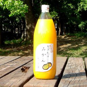 果汁100% みかんジュース 1L×6本 送料無料 一部地域を除く : フルーツ