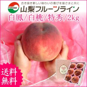 父の日 プレゼント ギフト お中元 桃 山梨 果物 フルーツ 白鳳 白桃 甲斐黄金桃 特秀 2kg のし対応可 送料無料 一部地域を除く