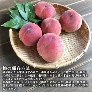桃 山梨 お中元 ギフト 白鳳 白桃 甲斐黄金...の詳細画像3