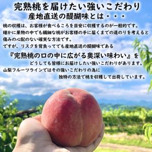 桃 山梨 お中元 ギフト 白鳳 白桃 甲斐黄金...の詳細画像5