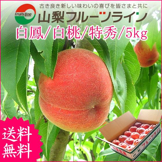 桃 5kg 山梨 特秀  敬老の日 ギフト 甲斐黄金桃 特秀 13〜18個入 送料無料※一部地域を除...