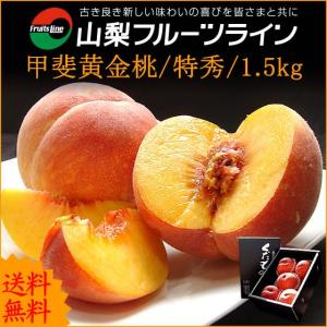 桃 敬老の日 プレゼント ギフト 山梨県産 甲斐黄金桃 特秀 1.5kg 送料無料 一部地域を除く