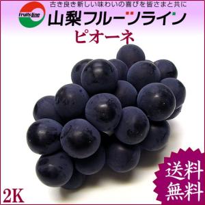 ピオーネ 2kg 秀品 満杯詰 山梨県産 種なしぶどう 産地直送 送料無料一部地域を除く