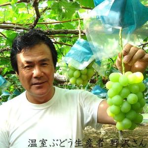 シャインマスカット 山梨県産 ぶどう 約1.2...の詳細画像2