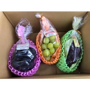 山梨県産 ぶどう 詰め合わせ おまかせ3種類セット 4kg 送料無料一部