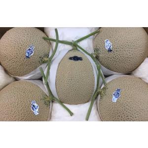 フルーツトマト トマトダ 静岡産 約2kg サイズおまかせ : 果物専門店