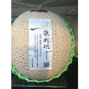 一果相伝　マスクメロン １玉　高知産 約1.8kg以上｜fruits-senri