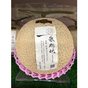一果相伝 マスクメロン 1玉 高知産 約1.8kg以上 : 果物専門店