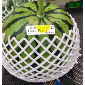 熊本産 植木 VSすいか 3L~4Lサイズ 秀品 大玉 1個入り 約9kg以上