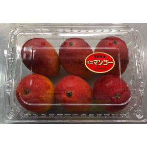 極小☆訳あり☆色むら☆ ミニマンゴー 約2kg 沖縄県産 規格外