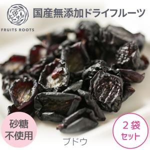 沖縄県産 生 ナツメ なつめ 果物 1kg(8個〜20個) 果実 フルーツ 特別