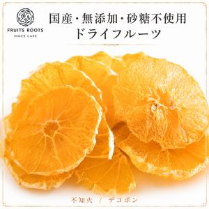 【マツコの知らない世界で紹介】 フルーツルーツ ...の商品画像