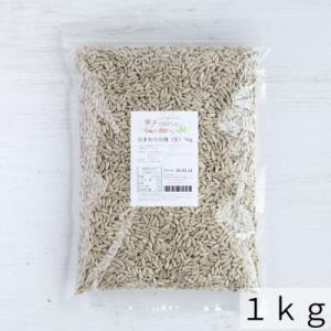 ひまわりの種(生・ブルガリア産)1kg【ヒマワ...の詳細画像2