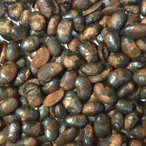 黒豆茶230g（包装込）※ティーバッグ