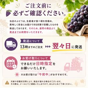 ぶどう キャンベル 1kg 3〜5房入 岩手県...の詳細画像1