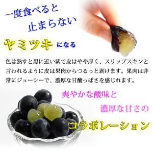 ぶどう キャンベル 1kg 3〜5房入 岩手県...の詳細画像4